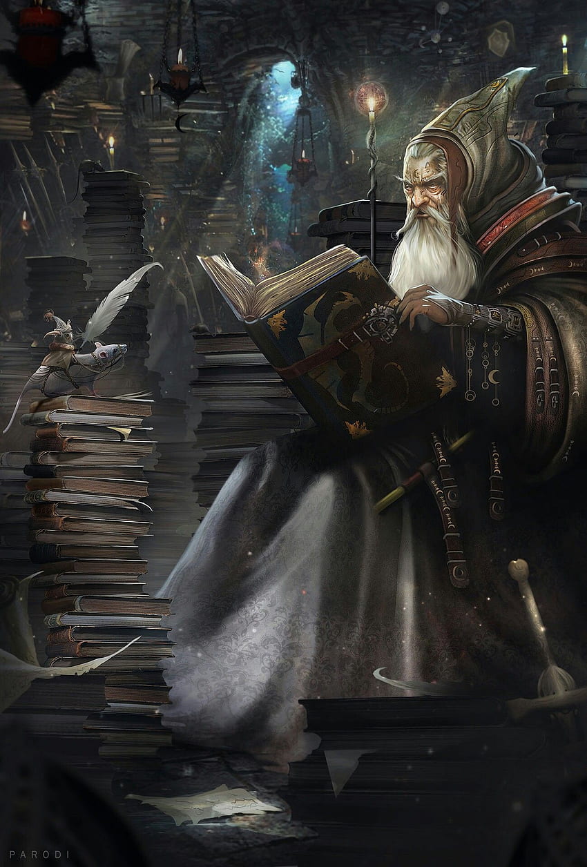 O Escriba. Fantasy wizard, Art, Fantasy illustration, Old Wizard HD phone wallpaper