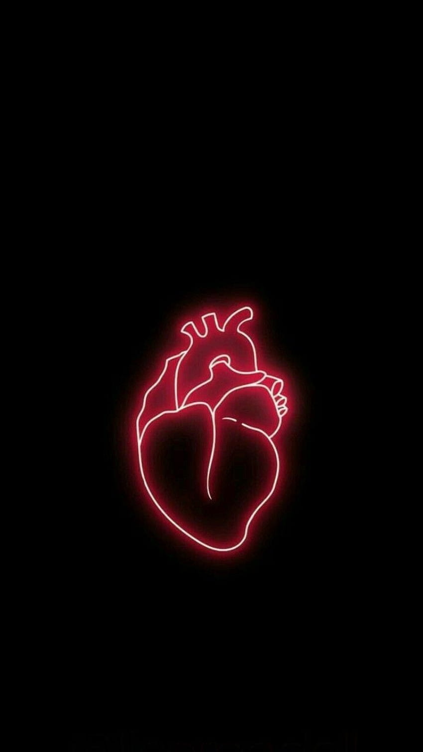 мαнιмα on . Neon light , Neon , Colorful, Anatomical Heart HD phone wallpaper