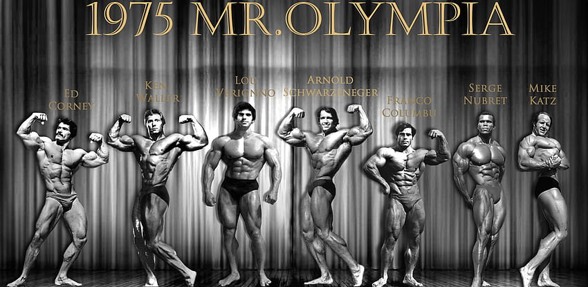 1975 Mr Olympia und Pumping Iron Cast von Bigmelin [] für Ihr , Handy & Tablet. Entdecken Sie Herrn Olympia. Herr Olympia, Herr Olympia, Herr Olympia HD-Hintergrundbild