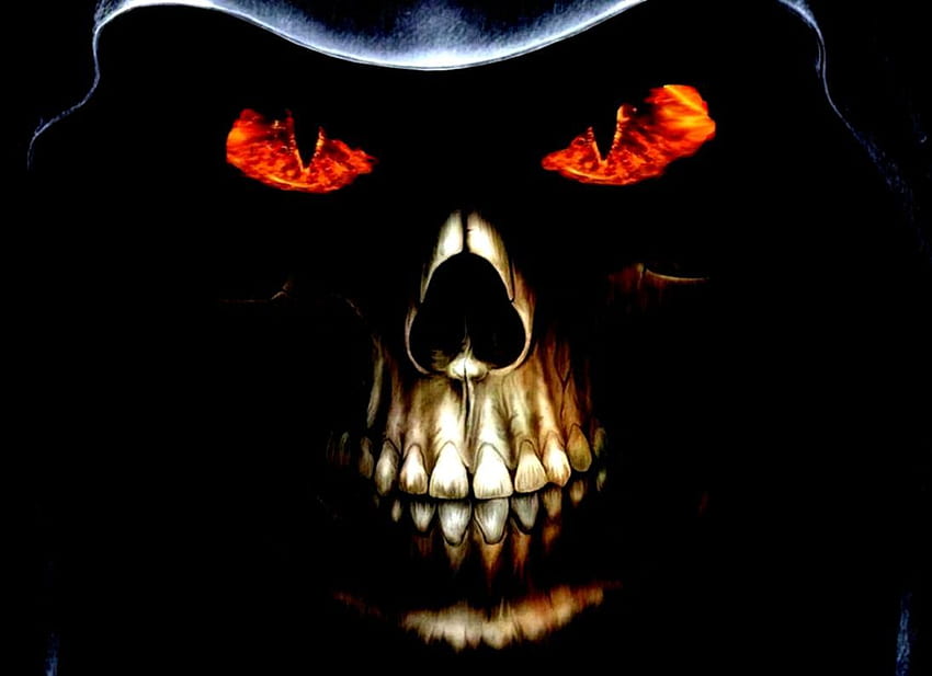 Cool Steelers Skull , Horror Skull HD wallpaper