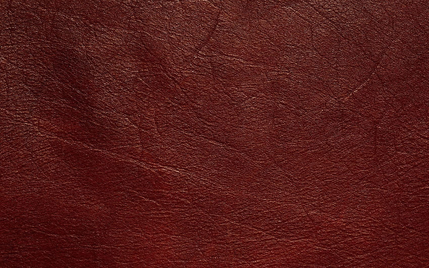 fundo de couro vermelho, macro, padrões de couro, texturas de couro, textura de couro vermelho, fundo vermelho, fundo de couro, couro para com resolução. Alta qualidade papel de parede HD