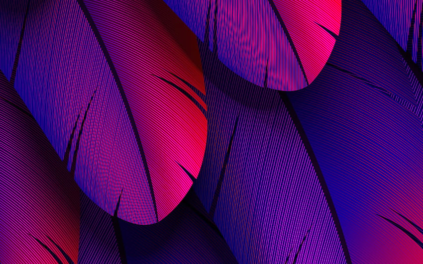 bulu ungu,, tekstur 3D, makro, tekstur bulu, latar belakang dengan bulu, pola bulu, bulu 3D Wallpaper HD