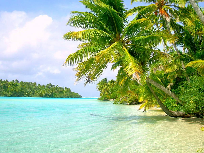 Aitutaki, Ilhas Cook, ilha, águas cristalinas, linda, lagoa, praia, turquesa, Polinésia, palmeiras, areia branca papel de parede HD