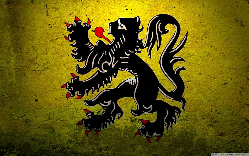 Insígnia do governo grunge da Bélgica ❤, bandeira da Bélgica papel de parede HD