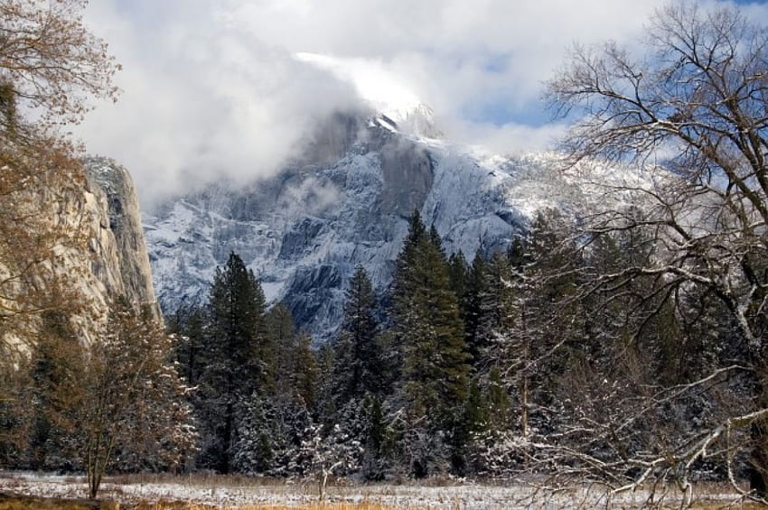 Half Dome - Yosemite National Park, neve, natura, mezza cupola, Yosemite, foresta, parco Sfondo HD