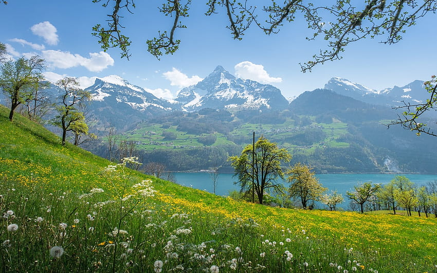 スイスの春、スイス、牧草地、山、春、湖 高画質の壁紙