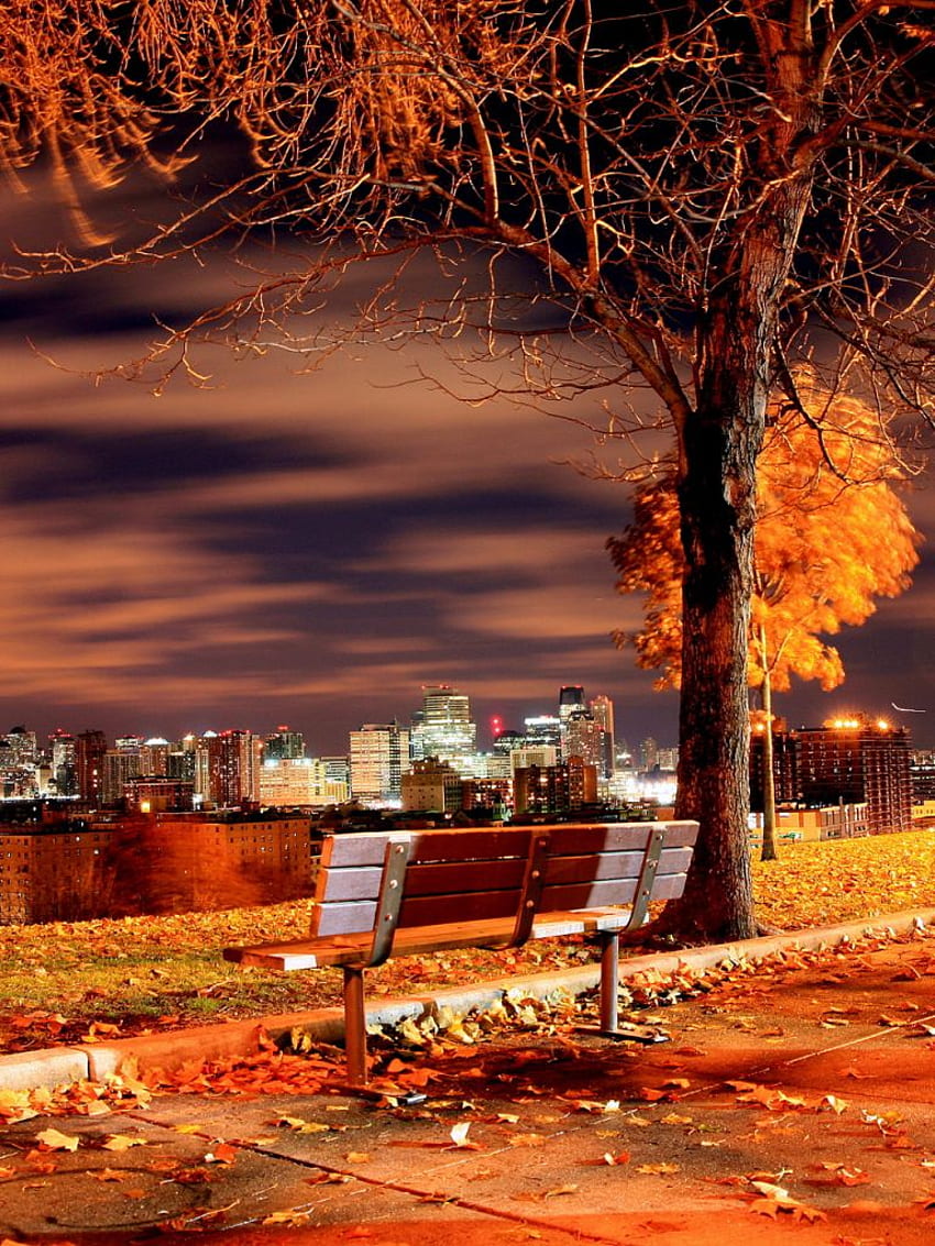 가을 미국 저녁 뉴욕 벤치 New []의 가을 저녁, 모바일 및 태블릿용. NYC에서 가을을 탐험하세요. 봄 HD 전화 배경 화면