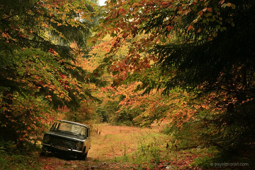 Old car, graphy, fall, bulgaria, autumn, forest HD wallpaper