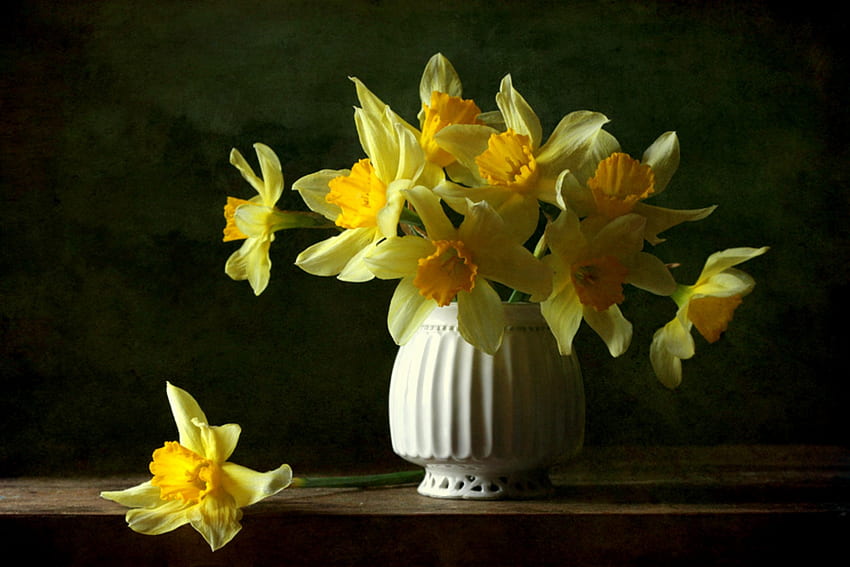 Contrasto, natura morta, tavolo, narcisi gialli, narcisi, vaso bianco, fiori Sfondo HD
