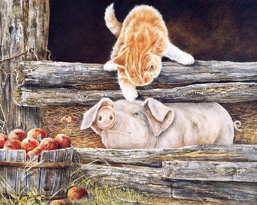HEY IS THAT YOU MISS PIGGY, CUTE, KITTY, PIGGY, ADORABLE, ANIMALS HD wallpaper
