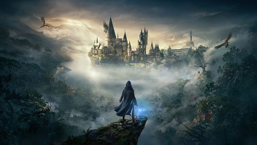 Legado de Hogwarts, Videogames, Dragão, Coruja, Harry potter • For You For & Mobile, Harry Potter School papel de parede HD
