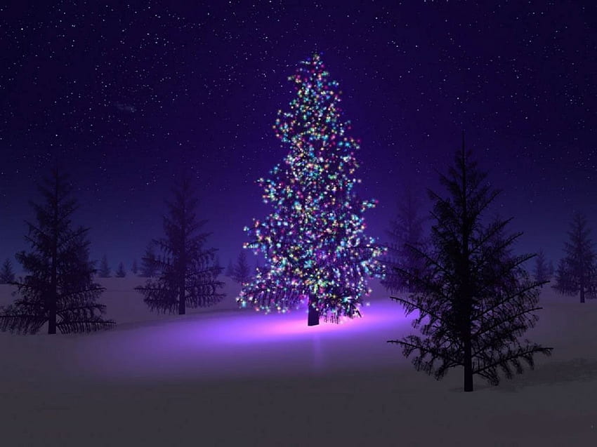 メリークリスマス、夜、松の木、松の木、ライト、雪、クリスマス 高画質の壁紙