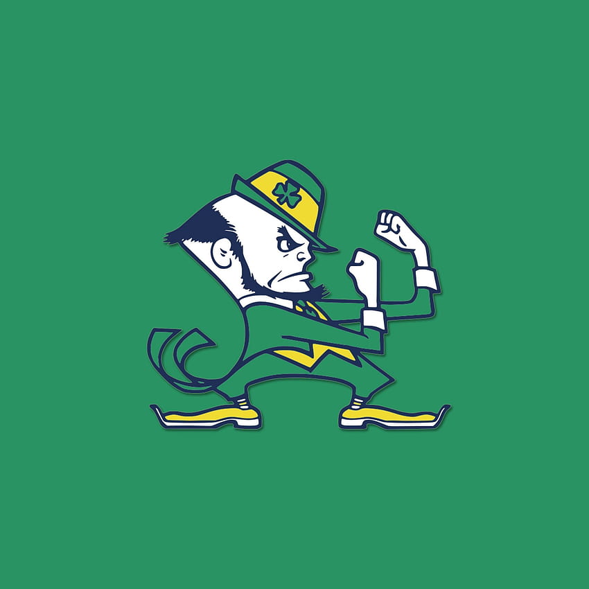 Notre dame fighting irish, Logo. Epic, Irish American HD phone wallpaper