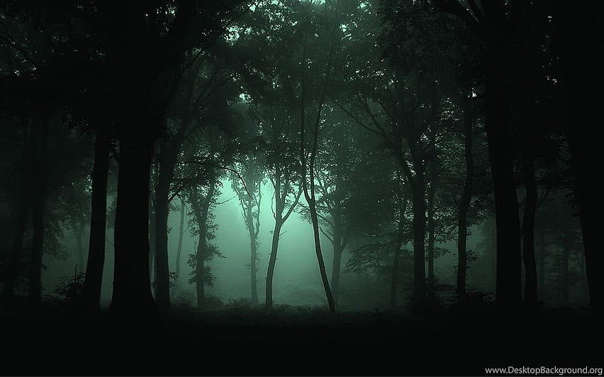 Fog Forest Night . Background, Foggy Night HD wallpaper