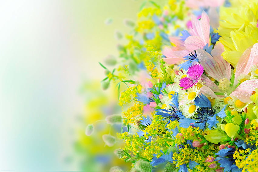 Beautiful Bright Flowers - Flower High, Bright Spring Flowers HD wallpaper