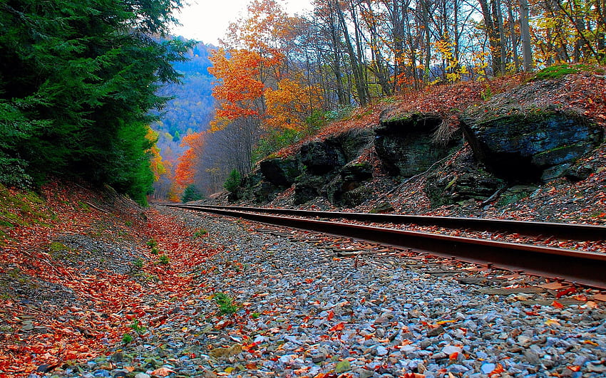 Doğa, Çimen, Gökyüzü, Sonbahar, Demiryolu HD duvar kağıdı