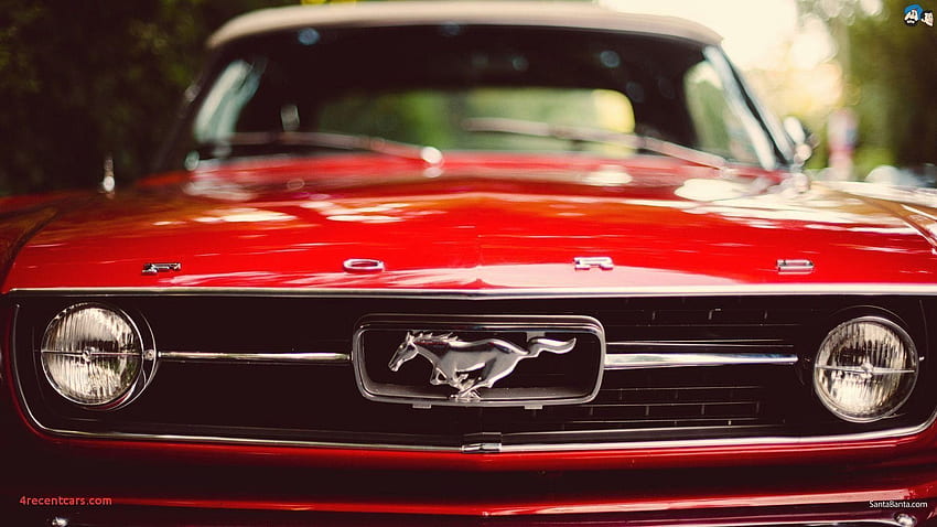 Mustang Car Best Of Mustang HD wallpaper | Pxfuel