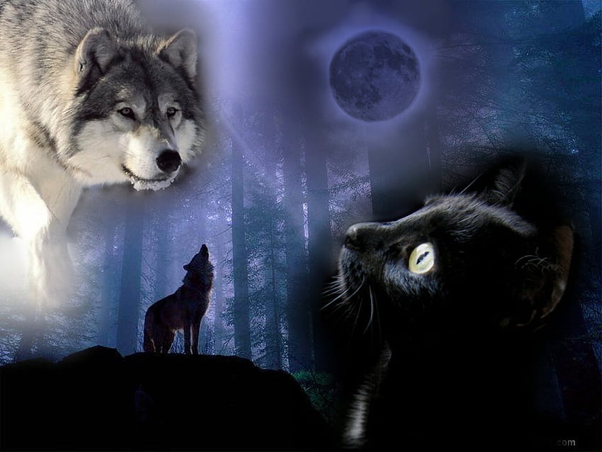 Wolf Shadow, wilki, księżyc, zwierzęta, koty, las, szare wilki, mit Tapeta HD