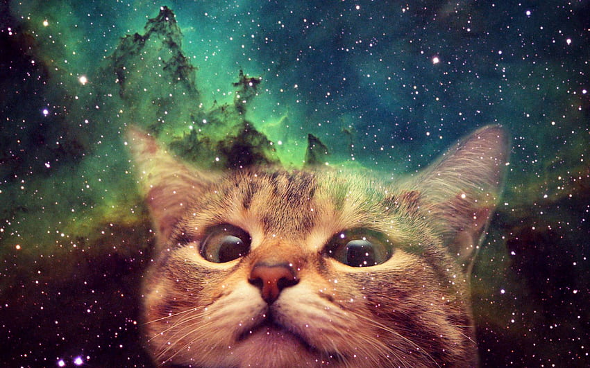 Hook Up Your With One Of These Awesome Cats In Space, Galaxy Cat HD ...