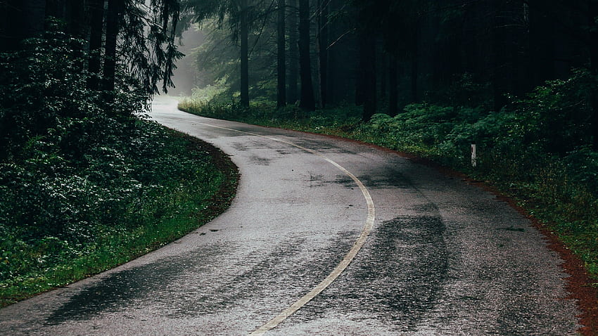 Chuva na estrada da selva vista da natureza - estrada da floresta papel de parede HD