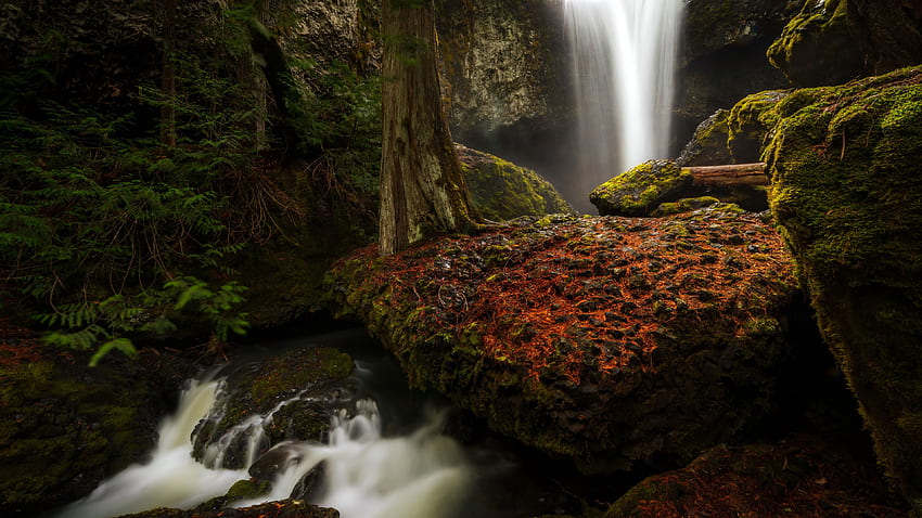 Querformat von Wasserfall Algen bedeckt Felsen grüne Blätter Steine ​​Bäume Stamm Natur HD-Hintergrundbild