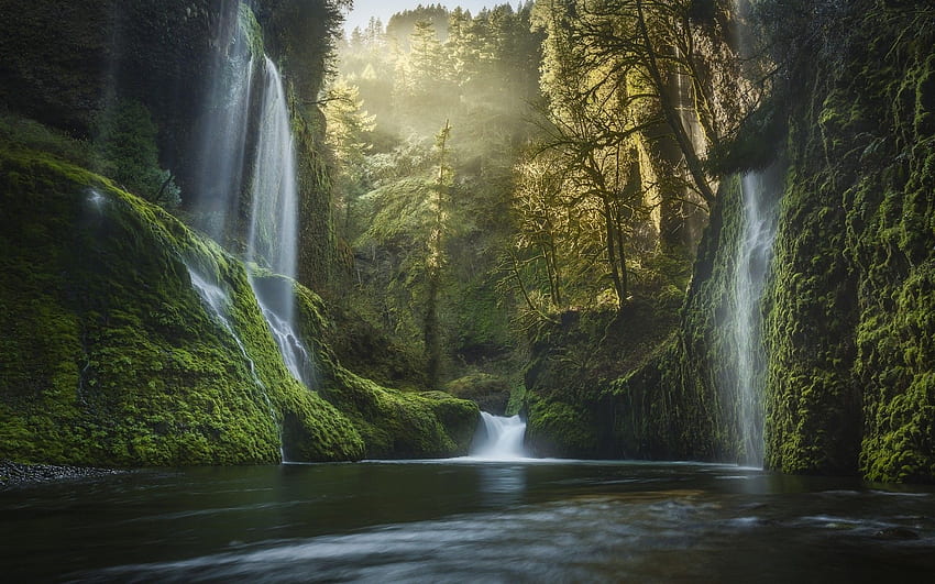 alam, Pemandangan, Oregon, Air Terjun, Lumut, Hutan, Kabut, Matahari Terbit Wallpaper HD