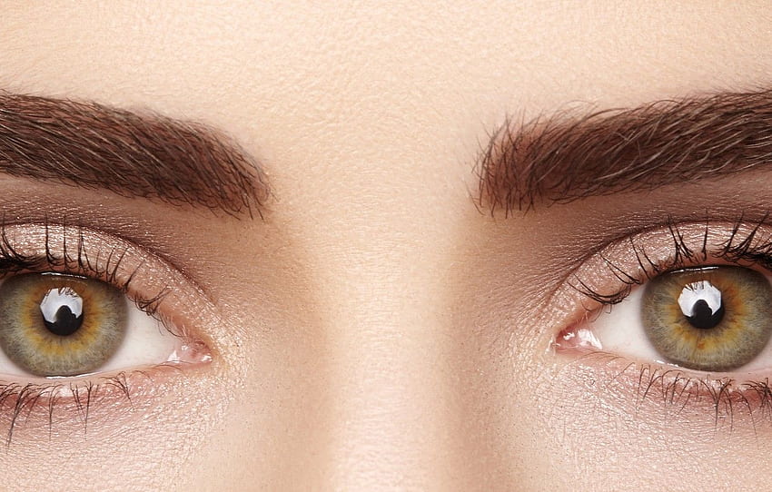 brown eyes, eyes, eyelashes, eyebrows for , section текстуры HD wallpaper
