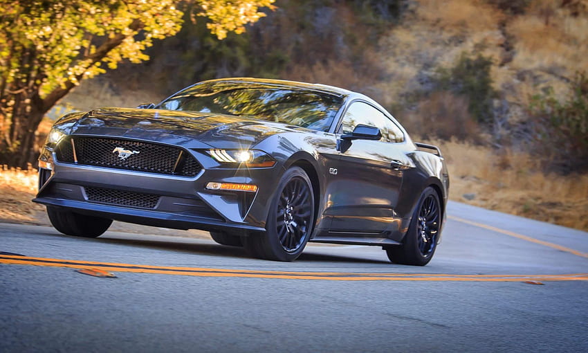 2019 Ford Mustang Bullitt Front HD Cars 4k Wallpapers Images Backgrounds  Photos and Pictures