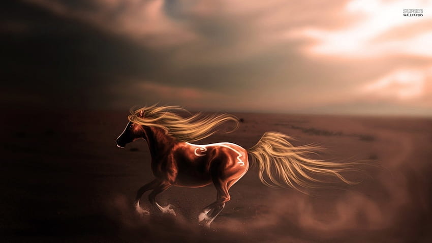 太陽と走る、馬、走る、動物、カバロ、カバロ、太陽 高画質の壁紙