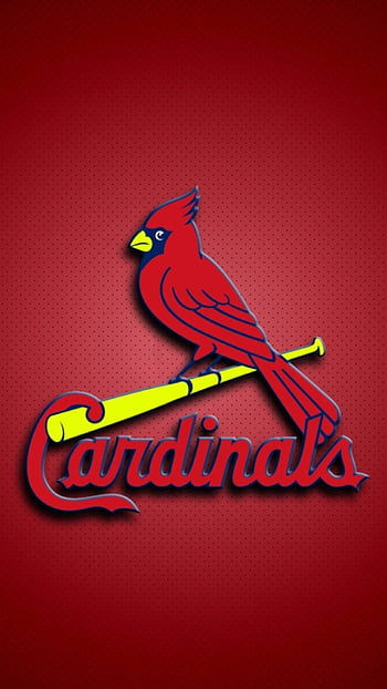 St. Louis Cardinals Official MLB Team Logo Premium 28x40 Wall Banner - –  Sports Poster Warehouse