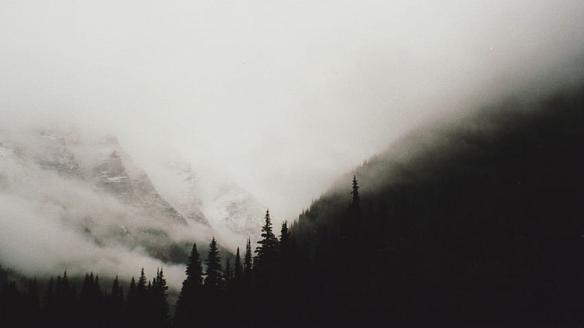 Mgliste góry (x Post od R ): Niesamowity, mglisty upadek Tapeta HD