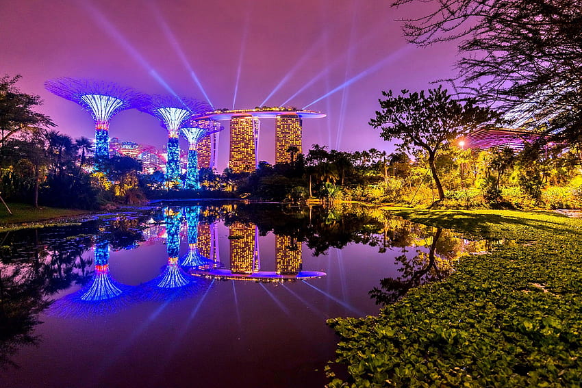 Andere: SINGAPUR-STADT NACHT See-Himmel-Pracht-heller Farben-Baum, Singapur-Landschaft HD-Hintergrundbild