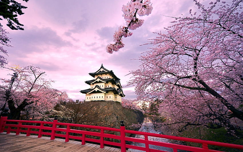 Hirosaki Castle Japan HD wallpaper