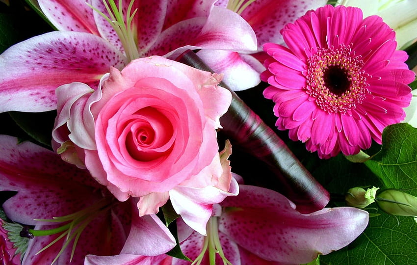 Flowers, Lilies, Rose Flower, Rose, Close-Up, Bouquet, Gerbera HD wallpaper