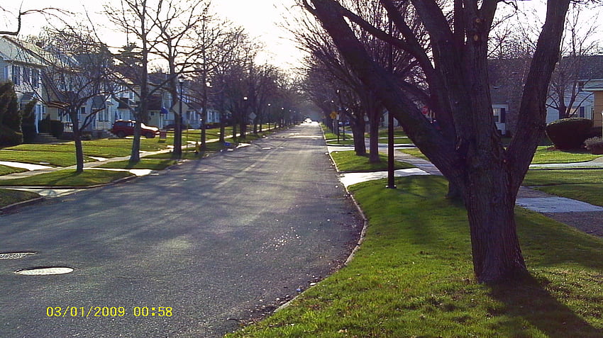 a beautiful neighborhood, neighborhood, sidewalk, street, trees, grass, sun HD wallpaper