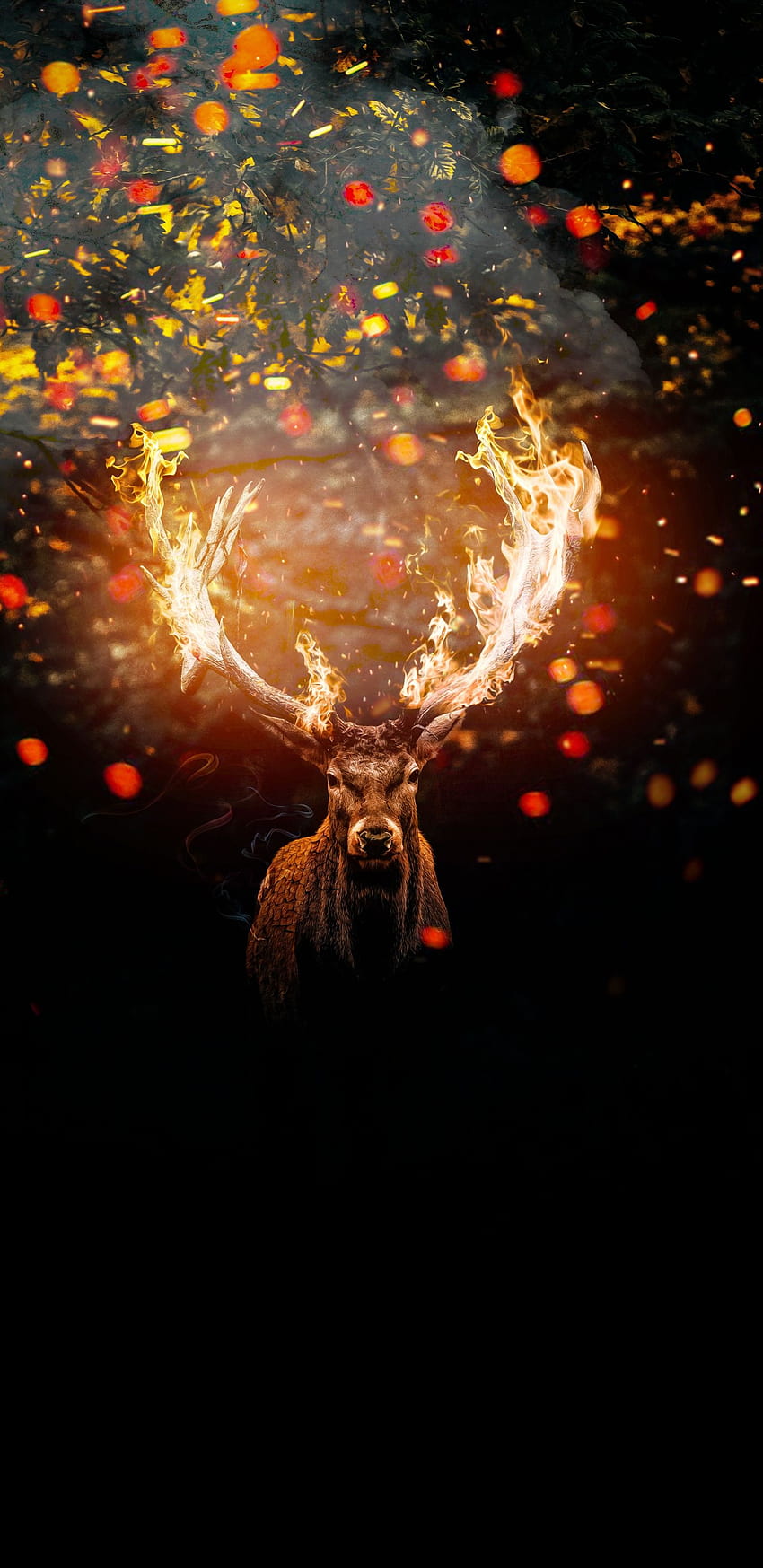 deer, horns, Galaxy Deer HD phone wallpaper