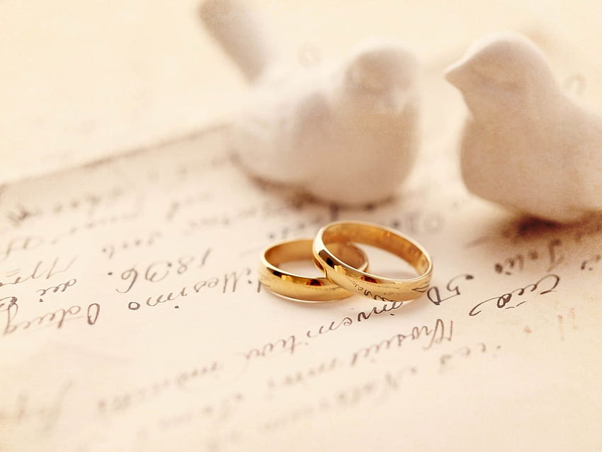 wedding rings, pair, wedding, dove 12997 HD wallpaper