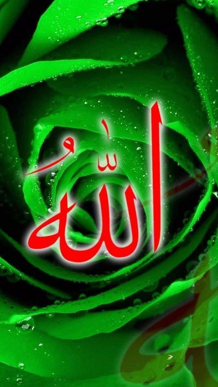 Allah, Green Leaves HD phone wallpaper | Pxfuel