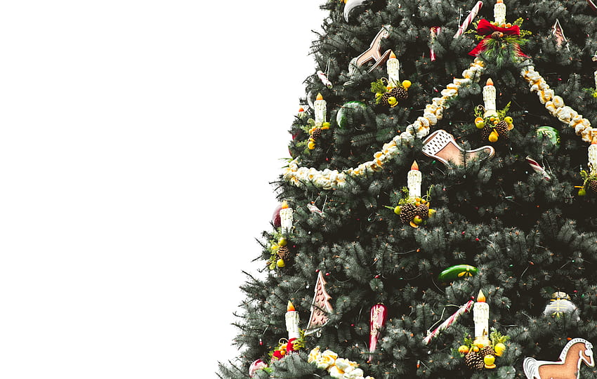 Празници, Украса, Свещи, Коледна елха HD тапет