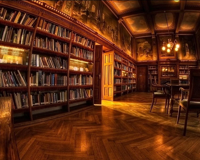 Room, Design, Library, Shelves Background. Biltmore house, Home libraries, Old libraries, Old Office HD wallpaper