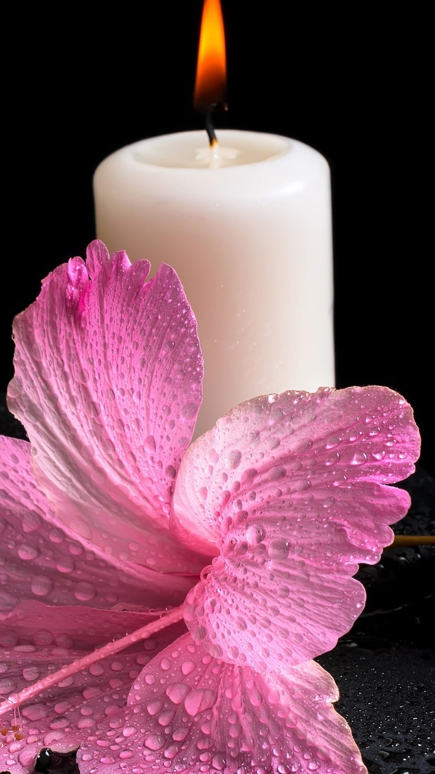 Candle, Pink Flower HD phone wallpaper | Pxfuel