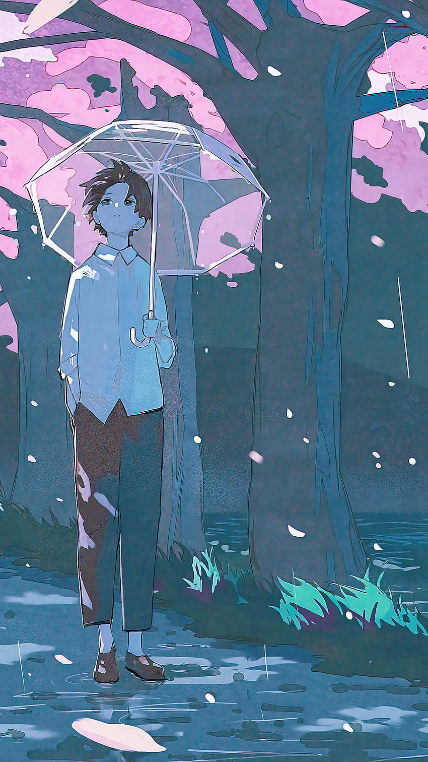 Anime boy, beautiful, rec, sakura, art, atmospheric, mood, popular, vibes HD phone wallpaper