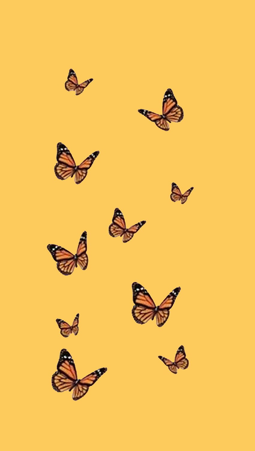 Yellow Butterfly Wallpapers  Top Free Yellow Butterfly Backgrounds   WallpaperAccess