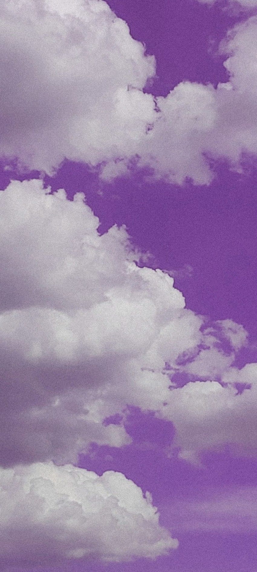 750 Purple Aesthetic Pictures  Download Free Images on Unsplash