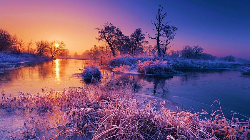 Lever du soleil à la rivière, gelée, couleurs, arbres, ciel, soleil, eau, glace, reflets, paysage Fond d'écran HD