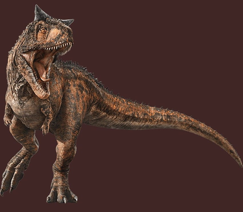 Jurassic World Fallen Kingdom voller Carnotaurus. Dinossauros brasileiros, Arte com thema de dinossauro e Dinossaurs HD-Hintergrundbild