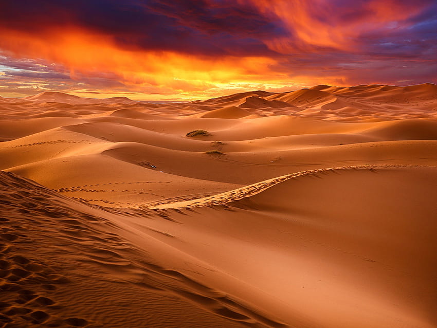 Dunes de sable, Dunes, Désert, Sec, Coucher de soleil, Ciel Fond d'écran HD