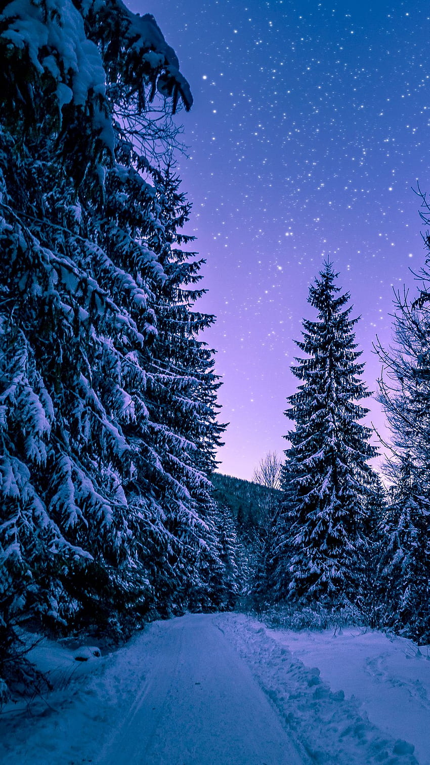 30 Breathtaking Winter Wallpaper for your Desktop