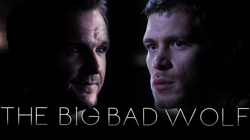 Klaus Mikaelson The Big Bad Wolf, Klaus Mikaelson Hybrid HD wallpaper |  Pxfuel
