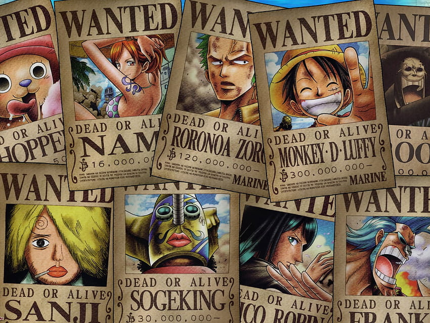 One Piece Wanted Poster, Tony Tony Chopper, Nami, Roronoa Zoro • For You For & Mobile, Sogeking Sfondo HD